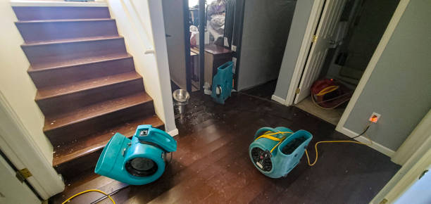 Best Water damage restoration company  in Biglerville, PA
