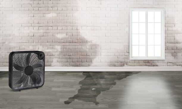 Best Emergency water damage restoration  in Biglerville, PA